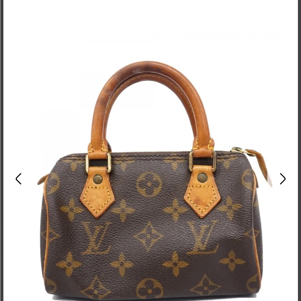 Louis Vuitton monogram mini speedy
